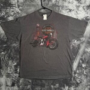 Harley Davidson Graphic T-Shirt Mens XL Grey Thunderbird Albuquerque NM Biker